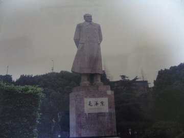 �峤û��α�ء���ö�������������