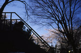 0fc64024.jpg