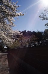 910913ab.jpg