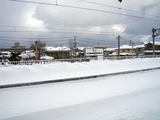 IMGP0335