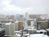IMGP0329
