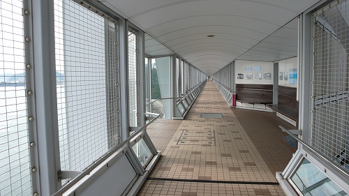 渦の道