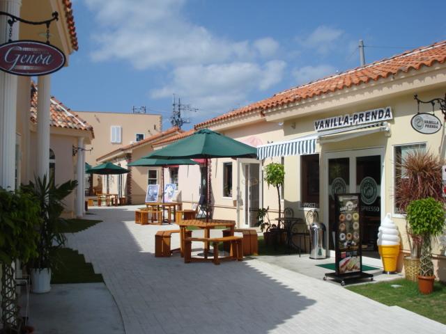 DSC00993