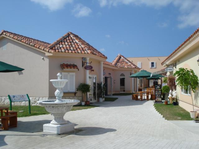 DSC00992