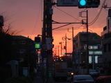 83d28e48.jpg