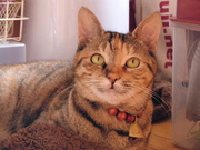 ����090623_1