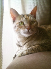 ����090619.jpg