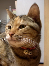 �ޤ뤤����