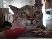 ����090618.jpg