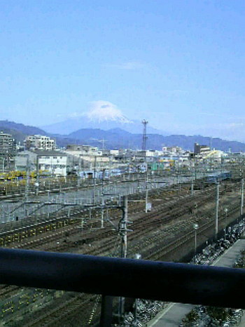 99477322.jpg