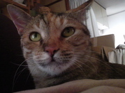 ����090618_2.jpg