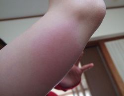 2009_1103像 011