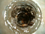 DSCF5633