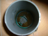 DSCF5938