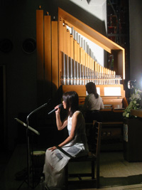 明星档案之田村直美