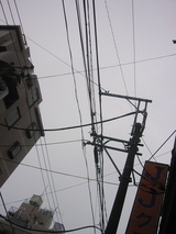 e422f18c.jpg
