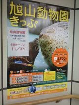 595495a0.jpg