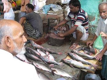 fish market (3)