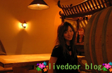 BlogPaint