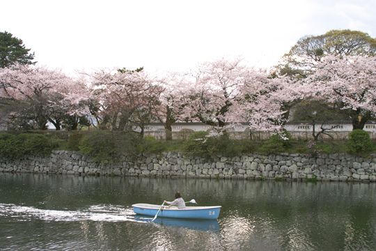 小田原城址公園003