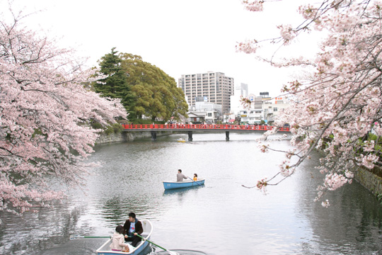 小田原城址公園001