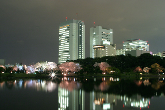 浜離宮恩賜公園001