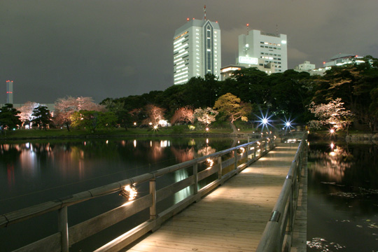 浜離宮恩賜公園002