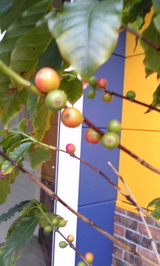 00552a3a.jpg
