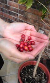 06ebc65b.jpg