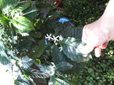 284246e7.jpg