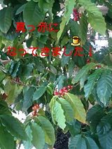 457e5d80.jpg