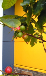 b8b26d57.jpg