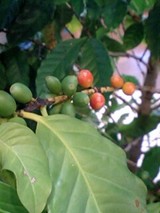 e7172740.jpg
