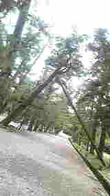 b013ed91.jpg