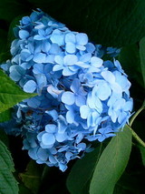 df649254.jpg