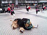 琉球國祭り太鼓