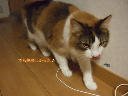 �Ǥ���­