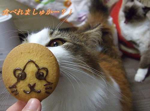 �ʤä����Ͽ��٤���