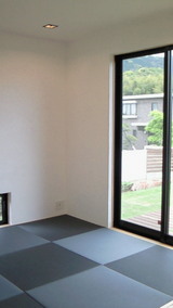 NEC_0154