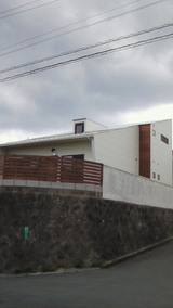 NEC_0161
