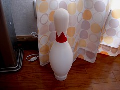 pin