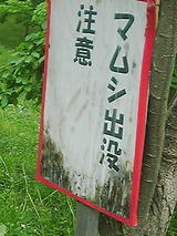 050502_1613~01.jpg