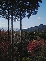 02385fa2.jpg