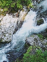 050728_1603~01.jpg