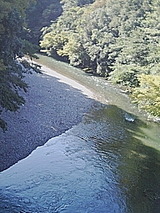 043c010e.jpg