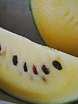 050629_1624~01.jpg