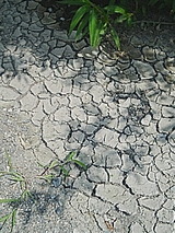 050719_1329~01.jpg