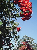 0aeb87b7.jpg