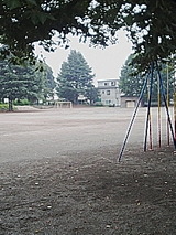 103053d5.jpg