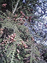 050422_1630~01.jpg